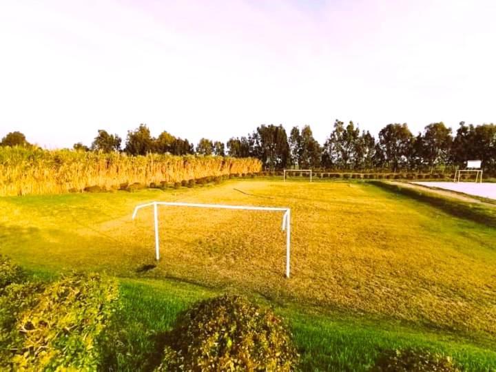 Casa Luna Villa Chincha Baja Eksteriør bilde